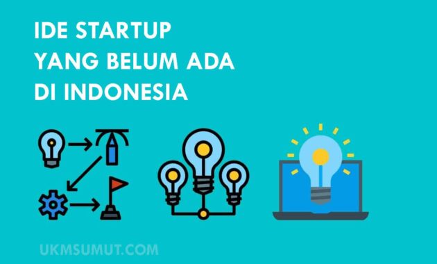 Contoh Bisnis Startup yg Jarang Ada di Indonesia