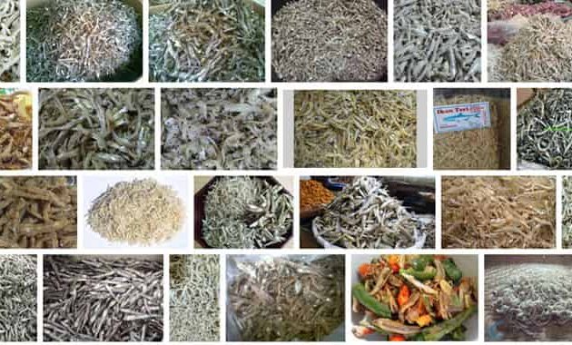 Peluang Bisnis Ikan Asin dan Ikan Teri Medan