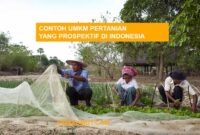 10 Contoh UMKM Pertanian yang Menjanjikan