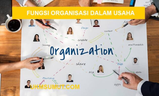 20 Fungsi Organisasi dalam Kegiatan Usaha