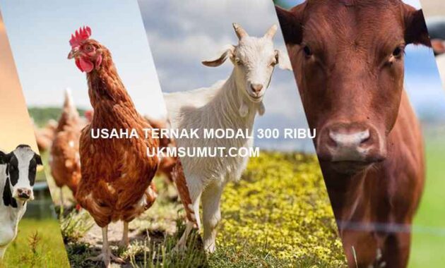 20 Usaha Ternak Modal 300 Ribu yang Menguntungkan