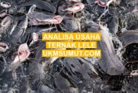 2 Analisa Biaya Ternak Lele Kolam Terpal untuk Pemula