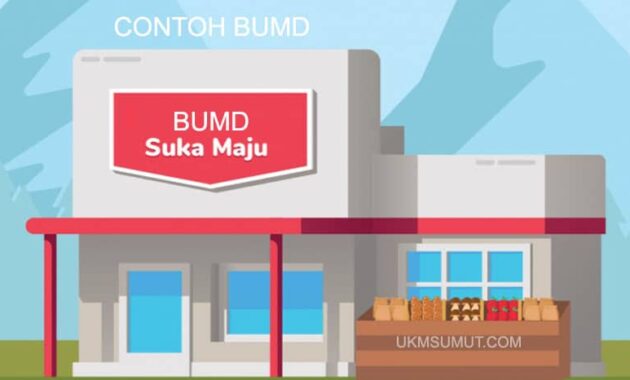 20 Contoh BUMD (Badan Usaha Milik Daerah) di Indonesia