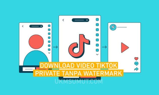 Cara Download Video TikTok yang diprivasi tanpa Watermark